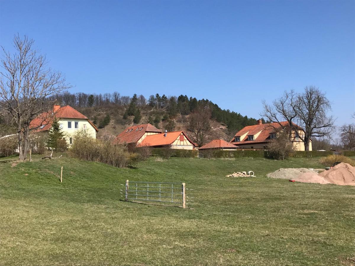 Pension Freudenthal Wandersleben Exterior photo